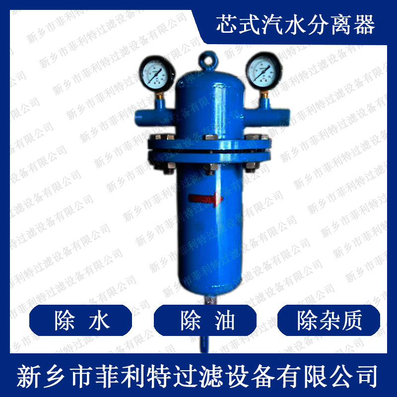 芯式汽水分離器